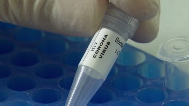 Foto: Reprodução/RPC