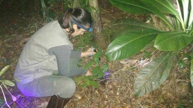 Katia atualmente trabalha com fragmentação florestal em ambientes urbanos | Foto: Acervo Pessoal