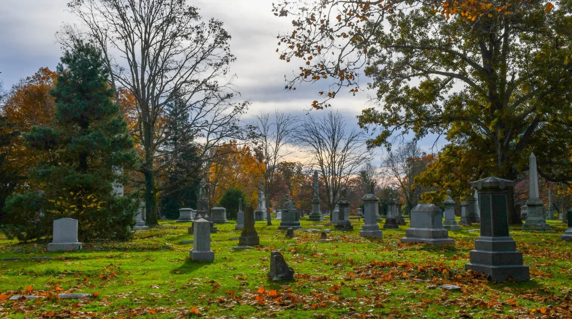 Spring Grove Cemetery_ reprodução: Meristem Horticulture